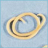 roundworms roundworms