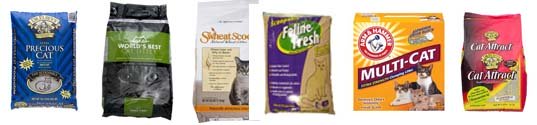 cat litter brands