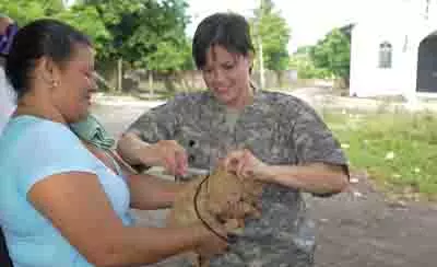 cat rabies vaccination cat rabies vaccination