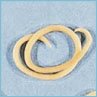 pictures of roundworms