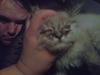 Kitten Eye Infection (Viral or Bacterial Cause)