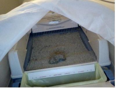 Dr. Elsey's Forms a Hard Clump which is easy to scoop away.  Littergard on Littermaid box helps to keep litter in box.