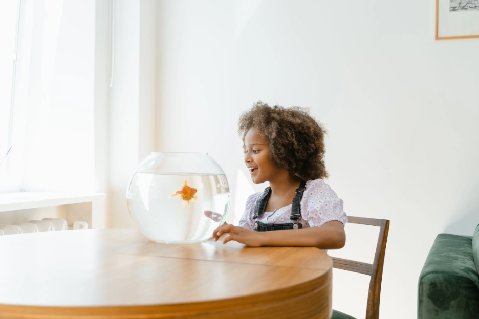 young girl and golfish in fishbowl